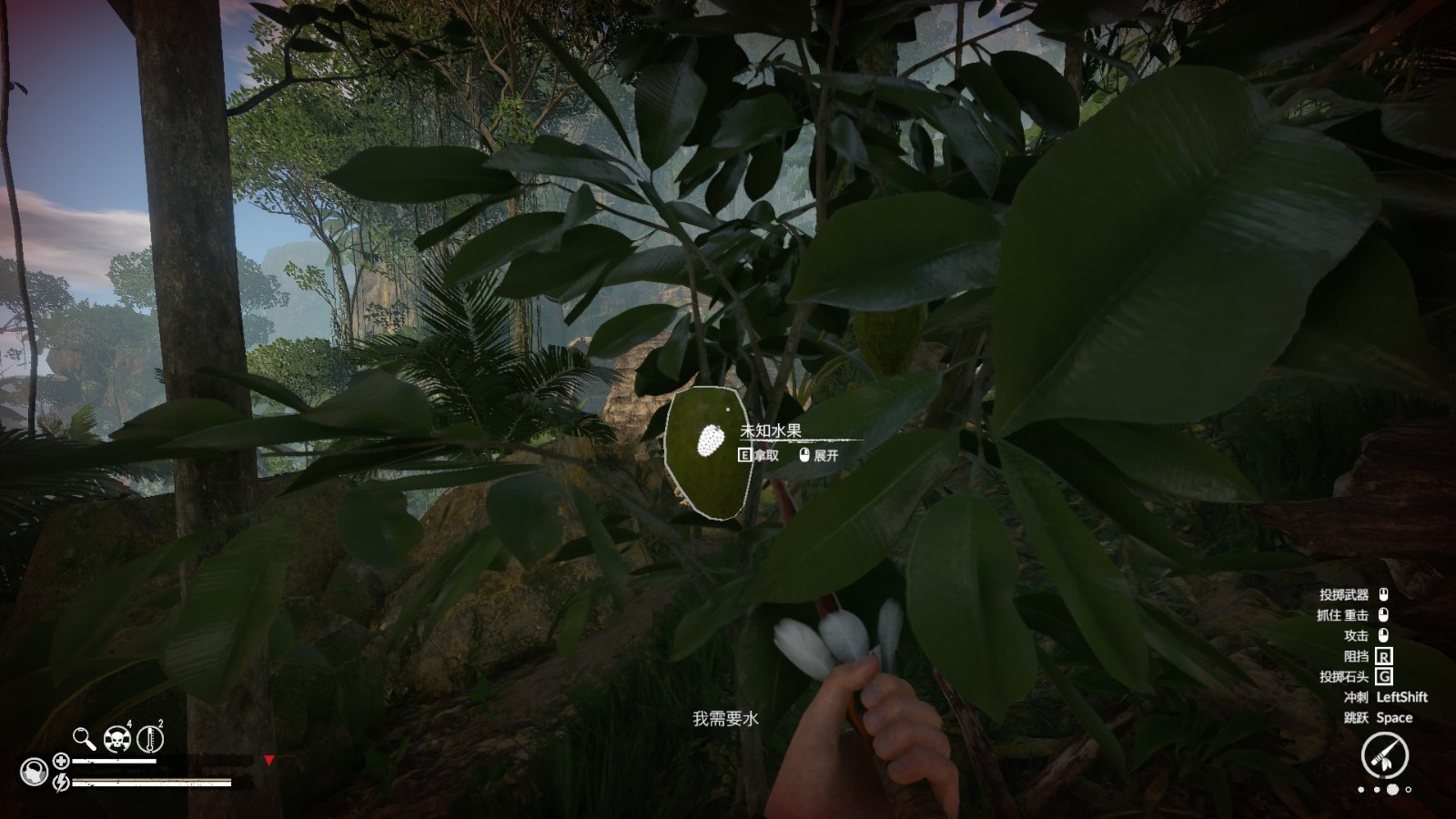 碳水化合物补给：椰子木薯蜂蜜的秘籍