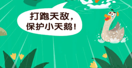 宝宝鸟类认知小游戏