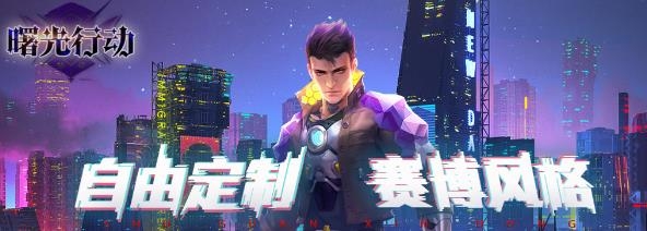 曙光行动游戏